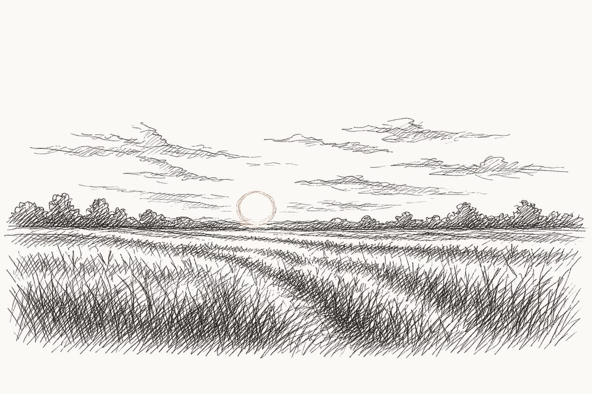 Pen sketch of a meadow at sunset with a low sun above a distant tree line and long shadows