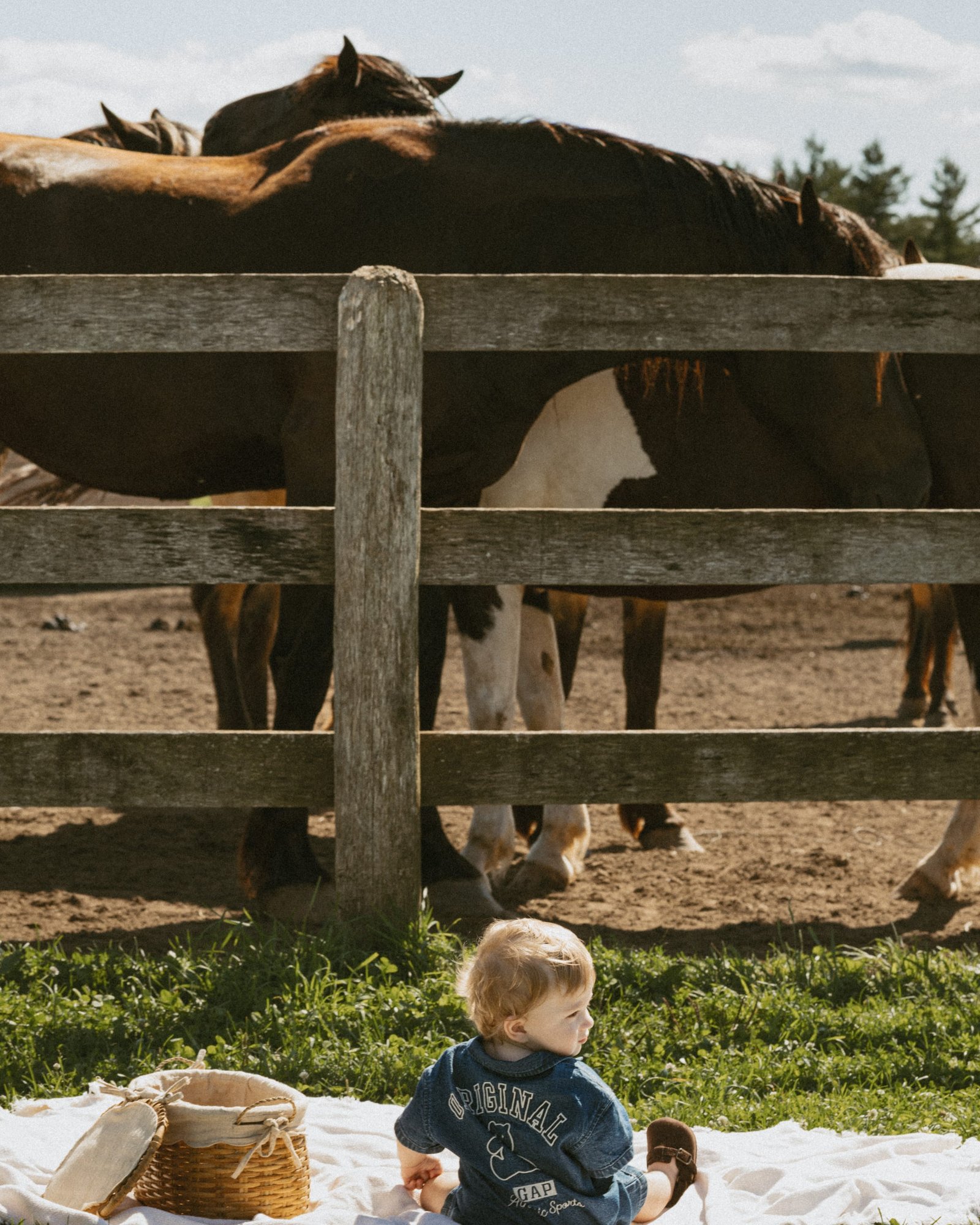 A toddler in a denim romper standing in the grass, looking down at his hands