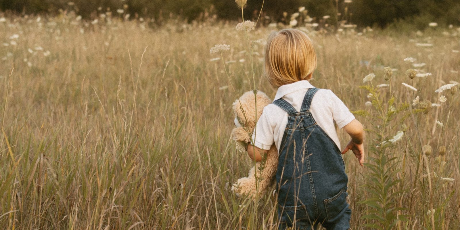 A small child in denim overalls walking through a golden meadow, holding a teddy bear