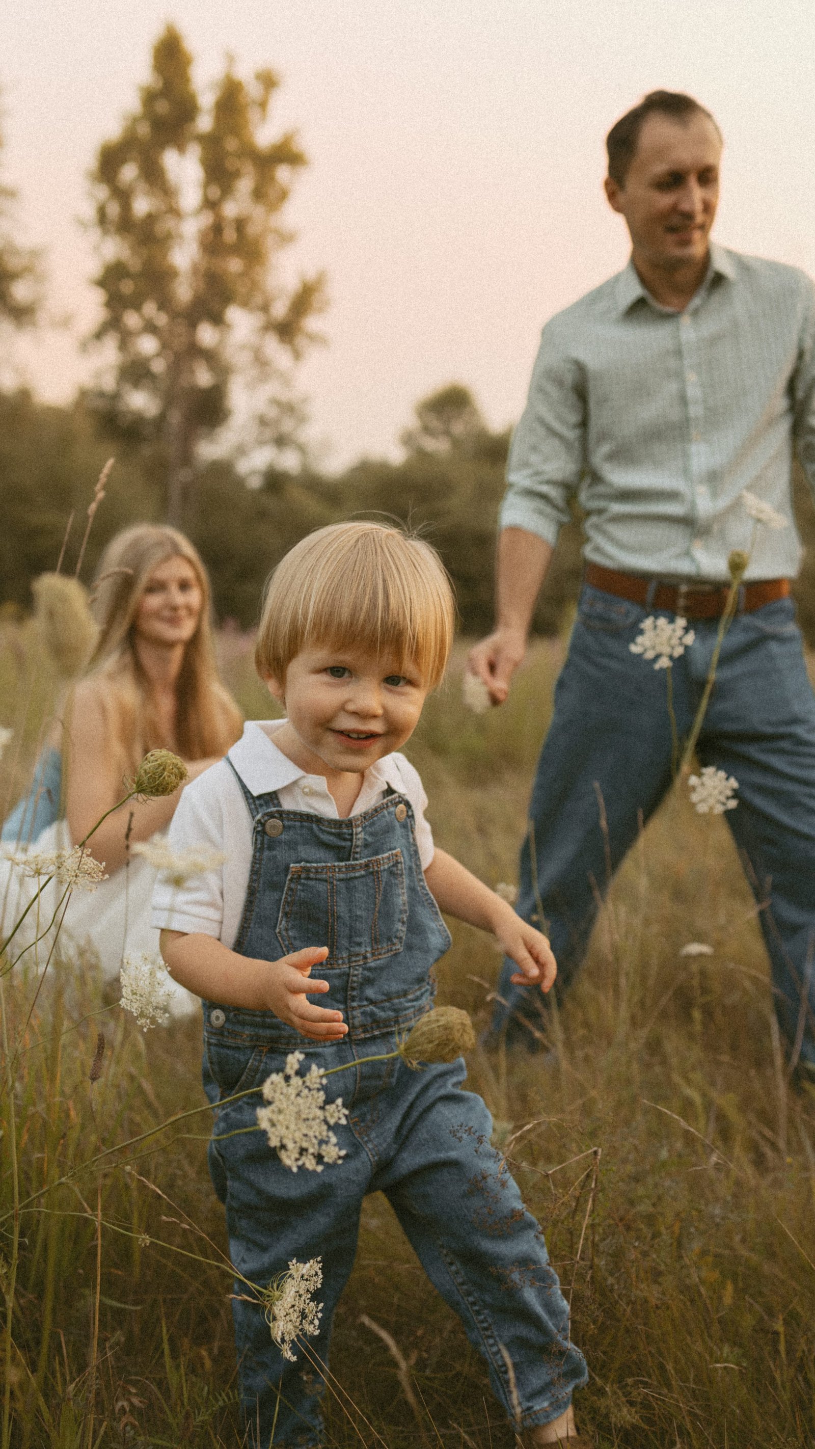 A toddler with a sprig of Queen Anne's lace tucked in his overalls walking toward the camera, his father behind him