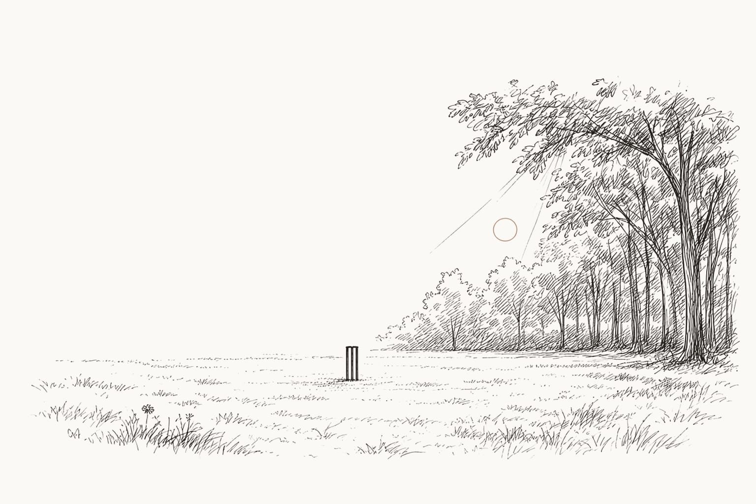 Pen sketch of the edge of a wood beside an open lawn, with a low sun behind the trees and cricket stumps far off on the grass